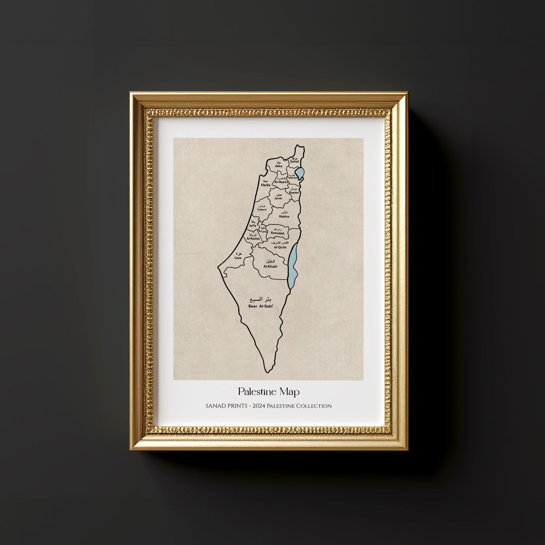 Palestine Map